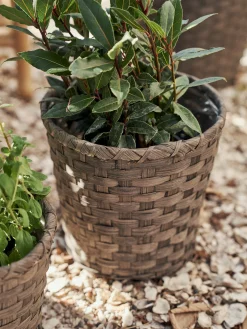 Übertopf