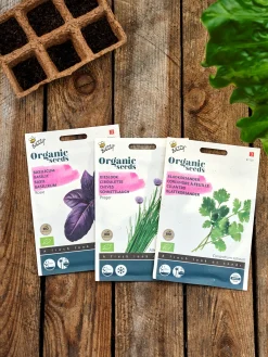 Buzzy® Bio-Koriander