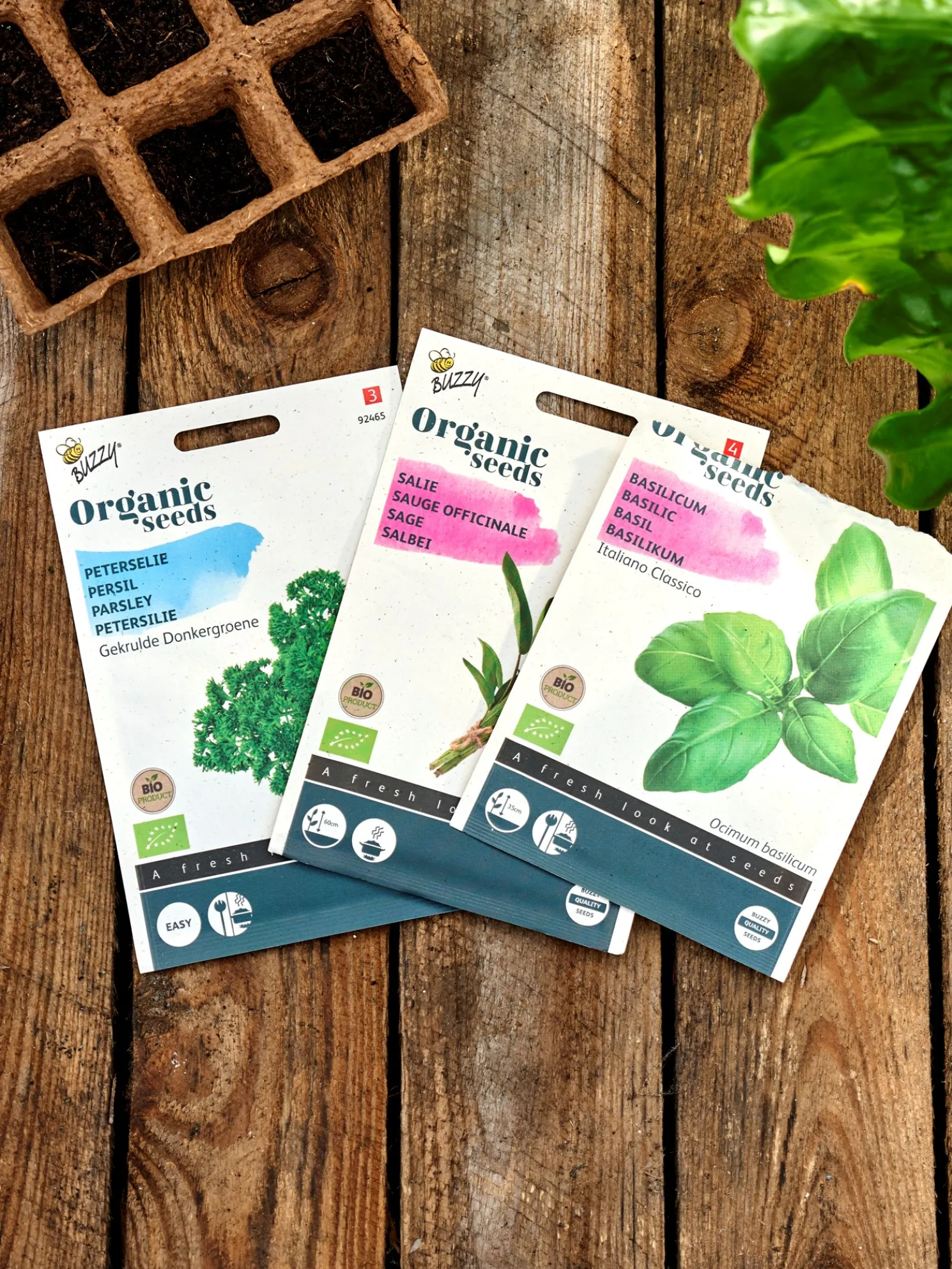 Buzzy® Bio-Salbei