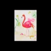 Flamingo 5 A4