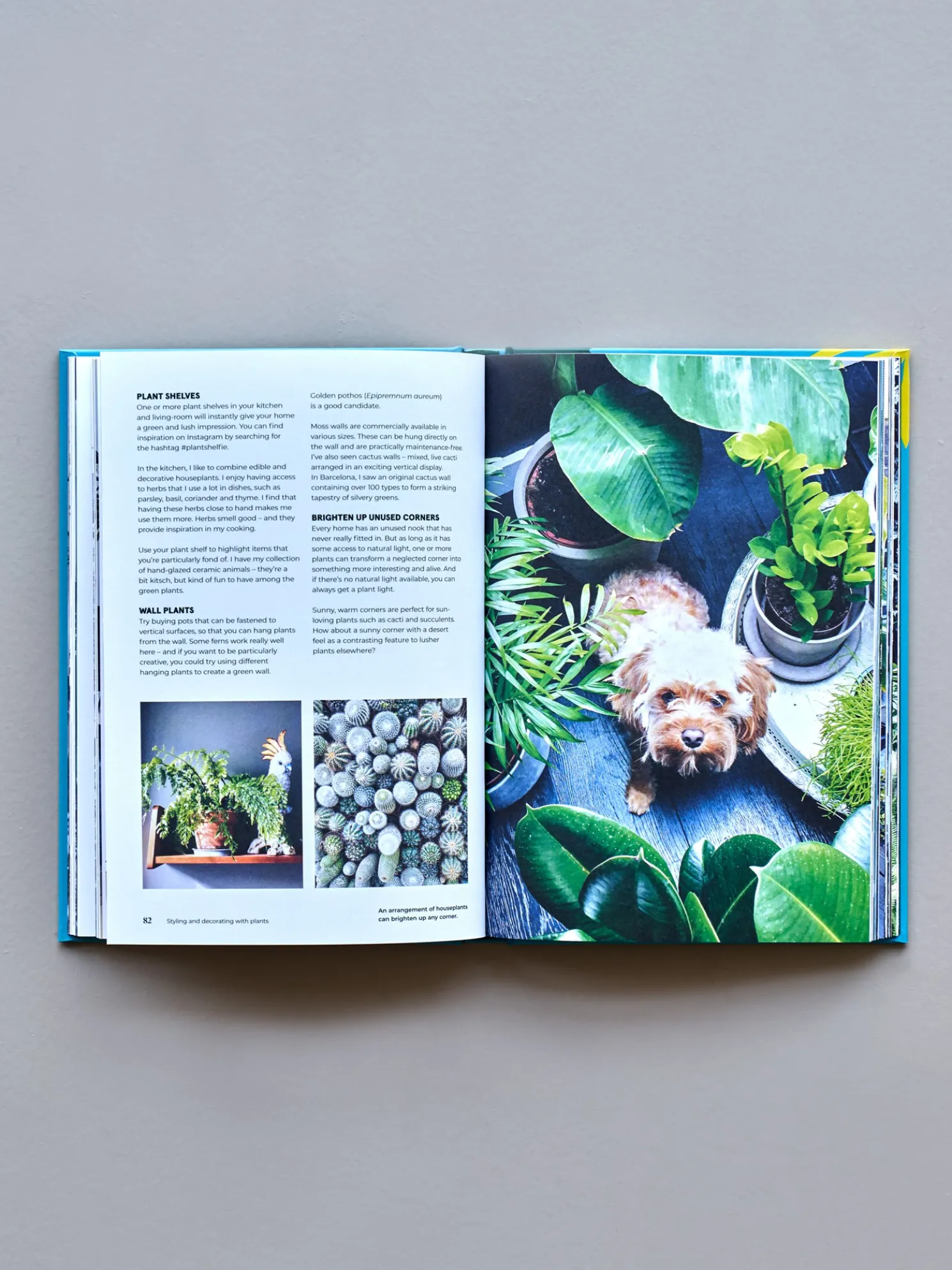 Green Home - The Joy Of Living With Plants