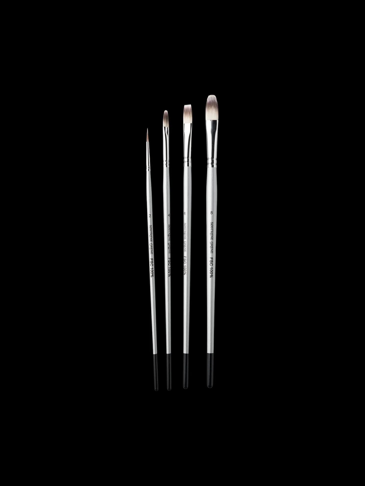 Pinsel-Set