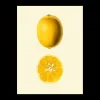 Poster 50 X 70