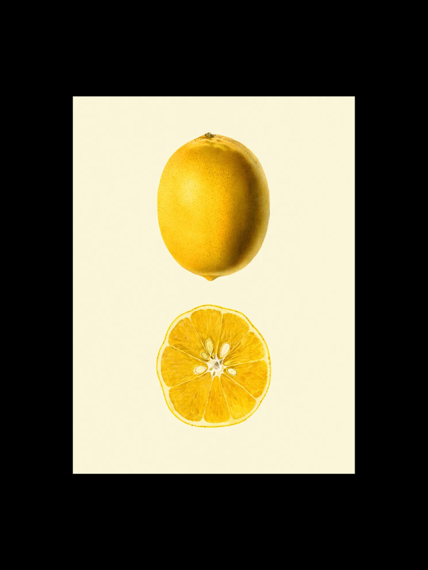 Poster 50 X 70