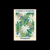 Poster Fleurs Et Plantes - Copenhagen A4