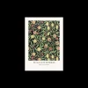 Poster Fruit Pattern 50 X 70