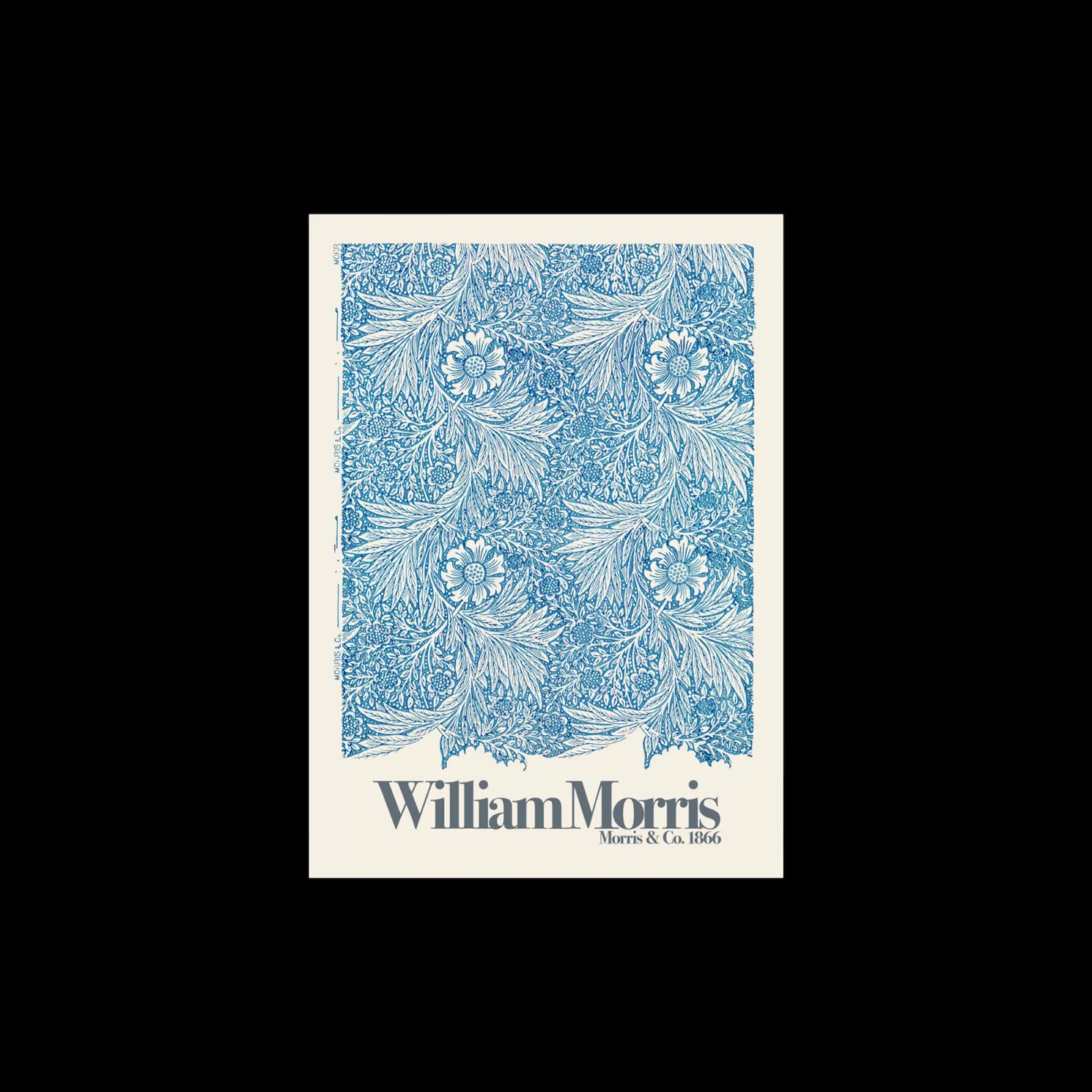 Poster Marigold 50 X 70