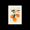 Poster Oranges A4