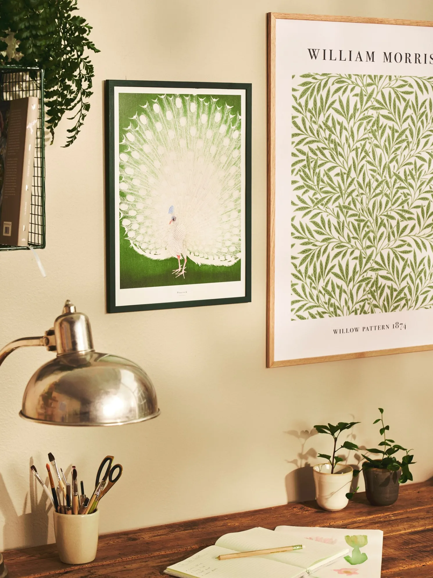 Poster Peacock A3