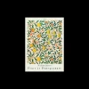 Poster Pomegranate 50 X 70