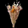 Trockenblumen Flora Klein