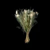 Trockenblumen Iceberg Klein