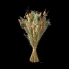 Trockenblumen Orange Medium
