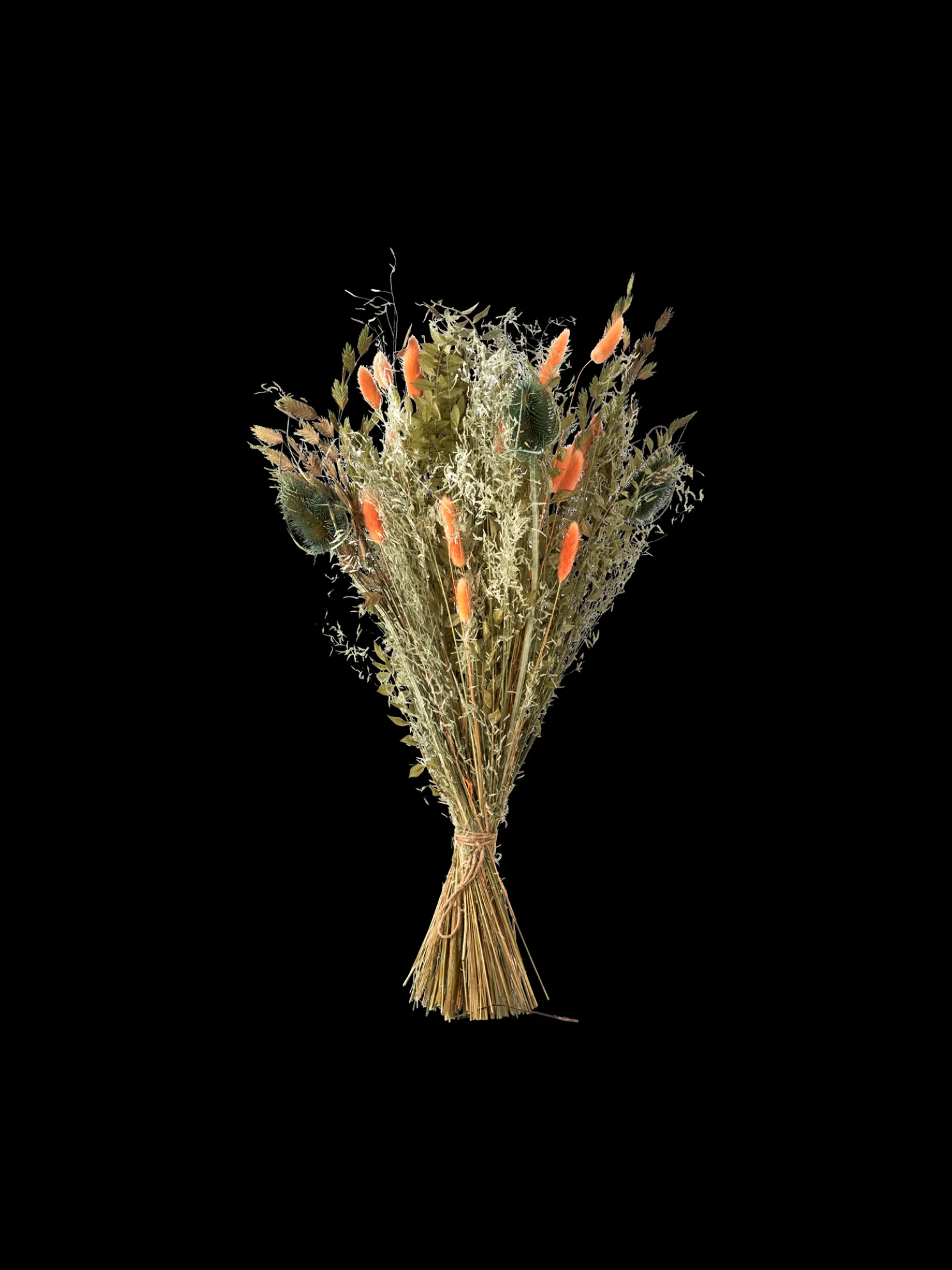 Trockenblumen Orange Medium