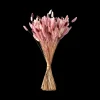 Trockenblumen Pudder Medium