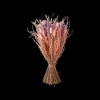 Trockenblumen Rosa Klein