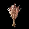 Trockenblumen Rosa Medium