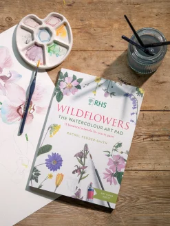 Wildflowers